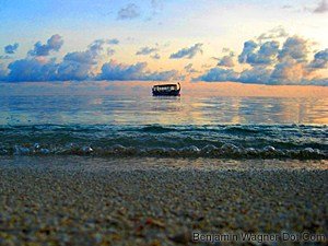 The Ocean
