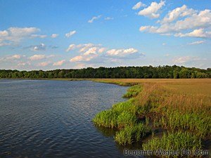 Pocotaligo River from Bray’s Island, SC