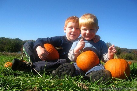 pumpkin.jpg