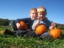 pumpkin_boys.thumbnail.jpg