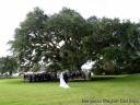 Bray’s Island Wedding