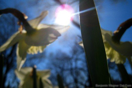 sun.jpg