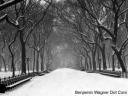 winter.thumbnail.jpg