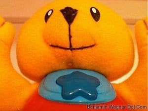bear.jpg